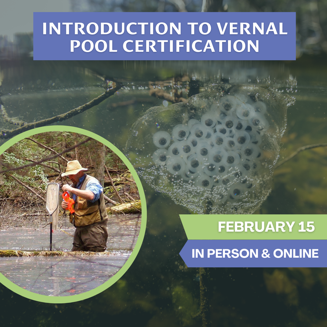 Introduction to Vernal Pool Certification