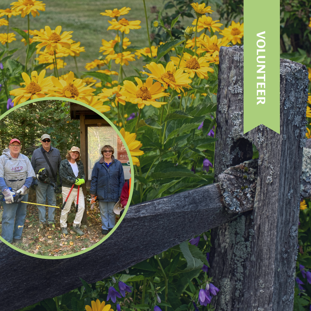 Maintenance Monday: Fox Valley Wildlife Sanctuary