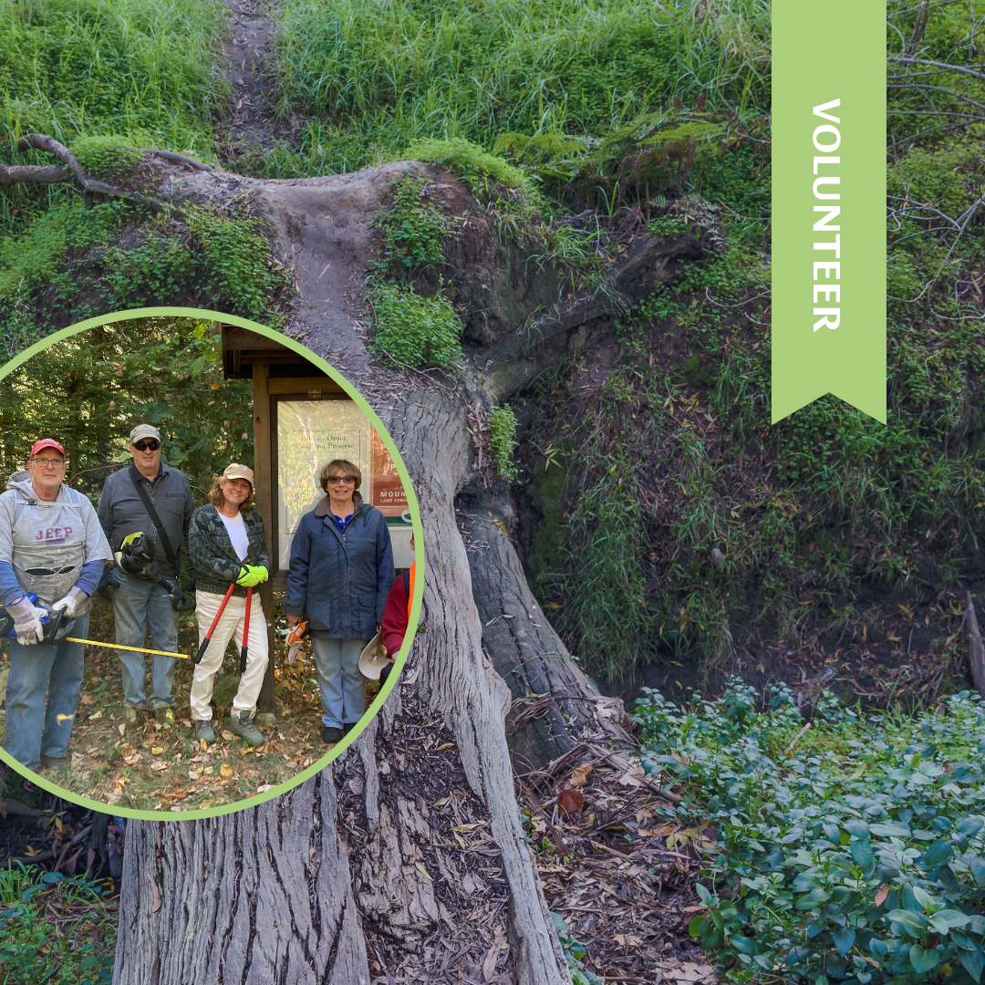 Paul Dunn Trail Workday